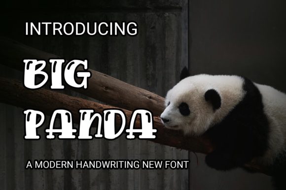 Big Panda: A Chic Display Font for Modern Branding