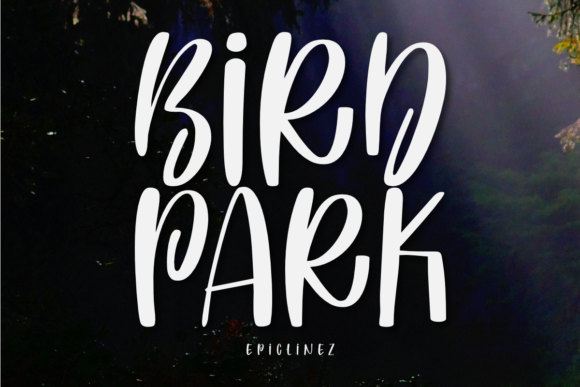 Bird Park Font for Eye-Catching Campaigns