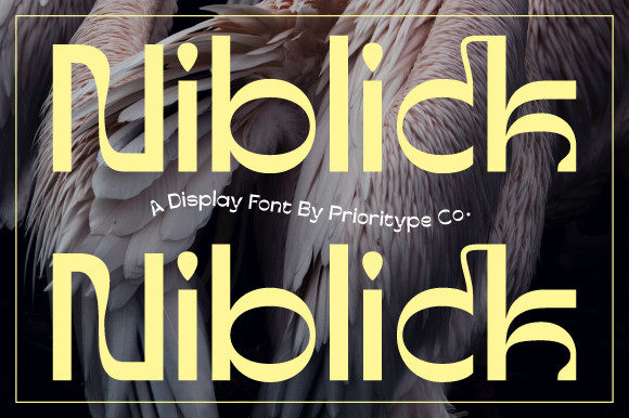 Niblick: A Modern Display Font for Editorial Elegance